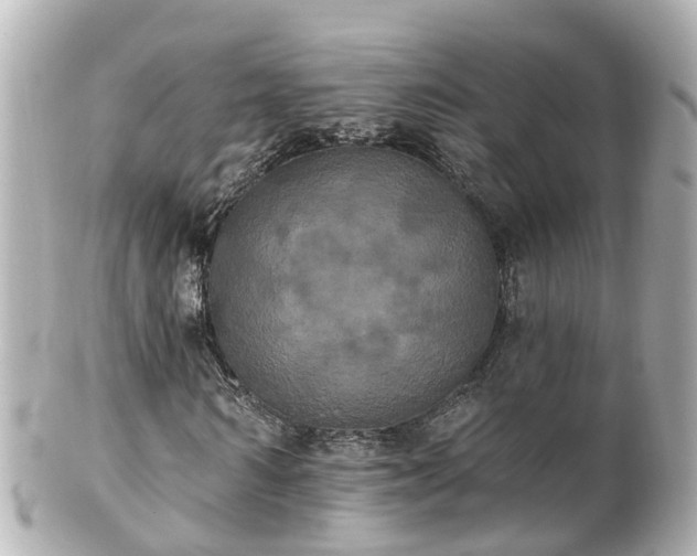 X0000100920962200807011303