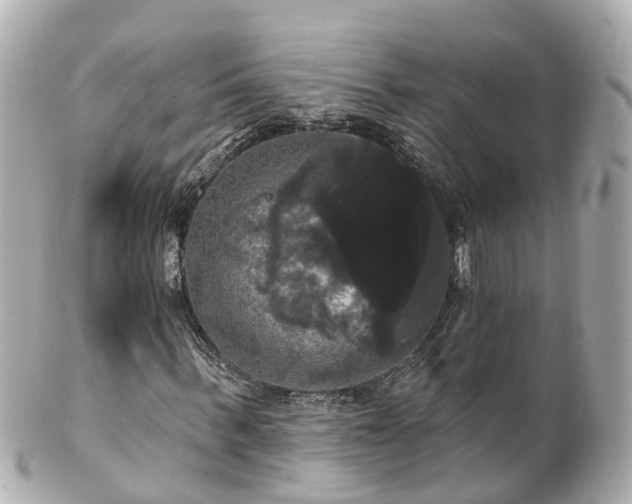 X0000100920963200807011303