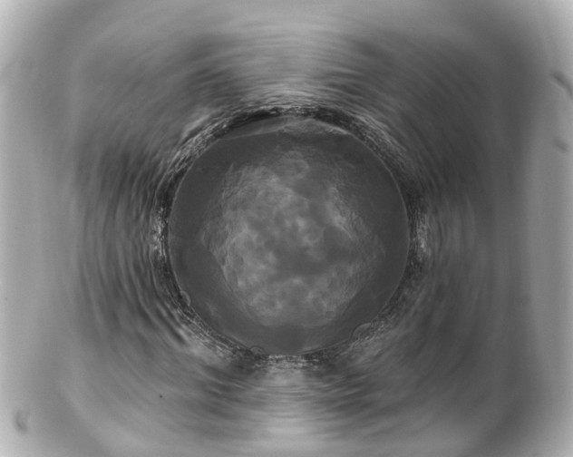 X0000100920964200807011303