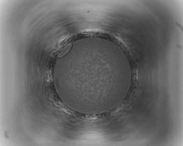 X0000100920965200807011303