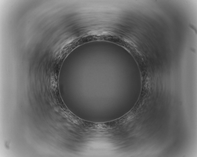 X0000100920966200807011303