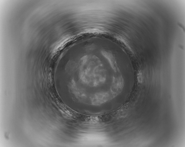 X0000100920968200807011303