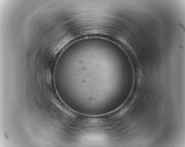 X0000100920969200807011303