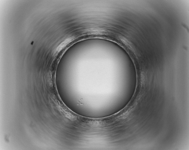 X0000100920970200807011303