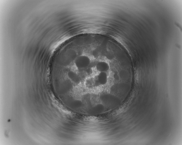 X0000100920971200807011303