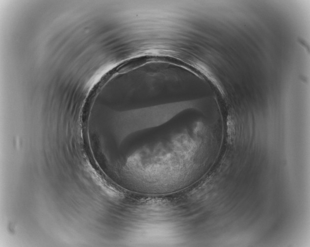 X0000100920972200807011303