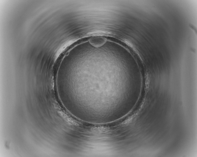 X0000100920973200807011303