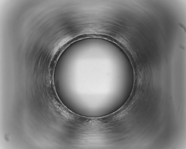 X0000100920974200807011303