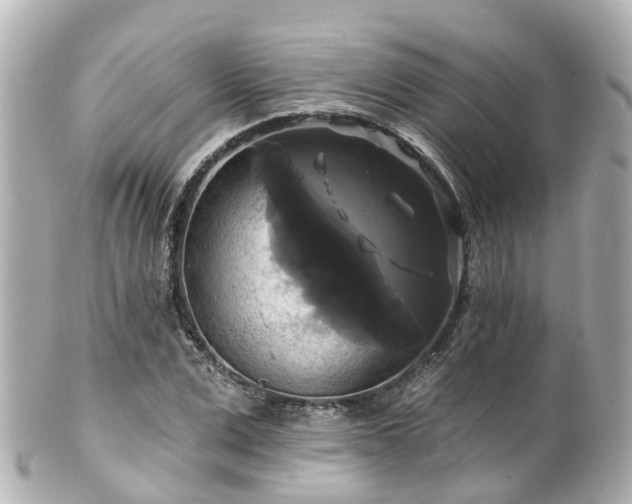 X0000100920975200807011303