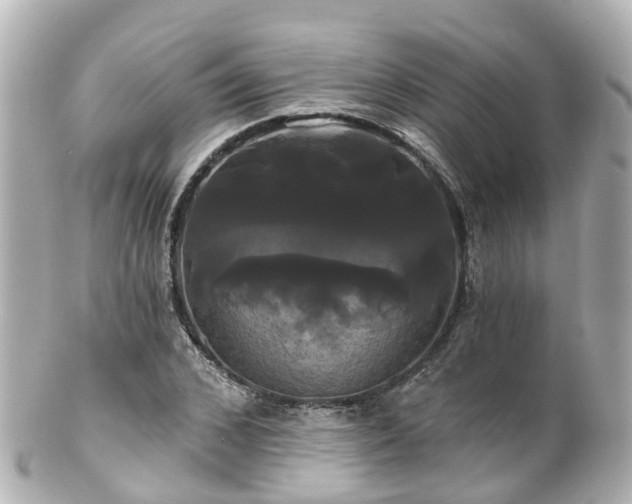 X0000100920976200807011303