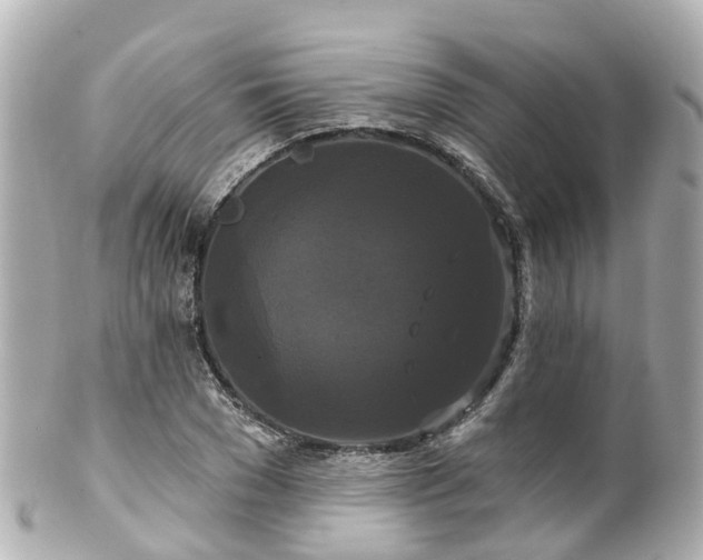 X0000100920977200807011303