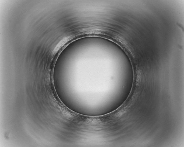 X0000100920978200807011303