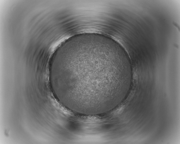 X0000100920979200807011303