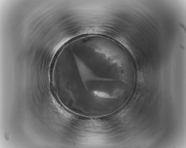 X0000100920980200807011303