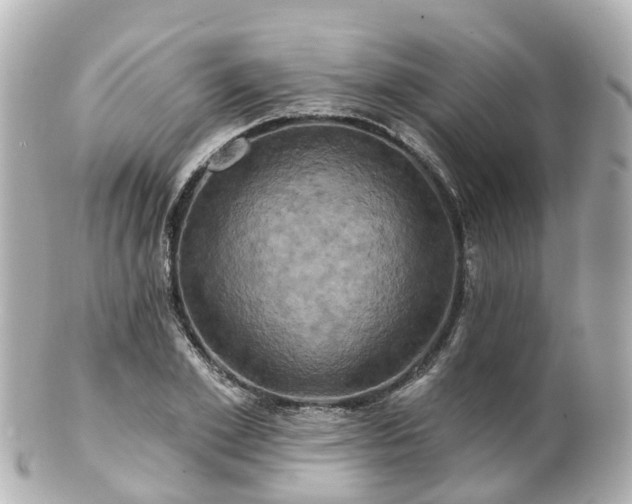 X0000100920981200807011303