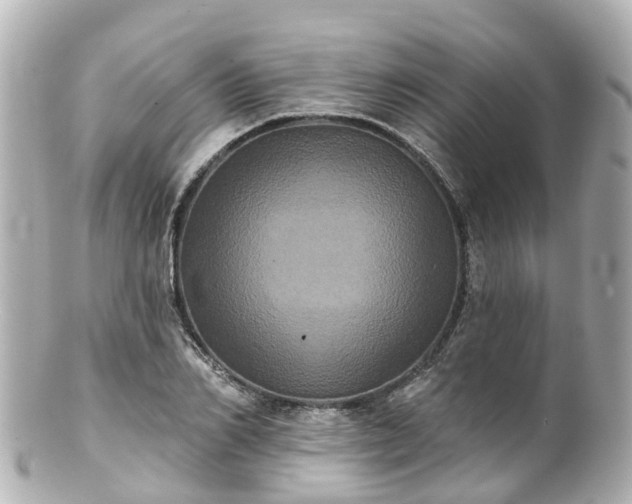 X0000100920982200807011303