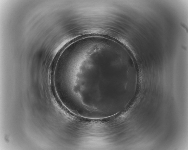 X0000100920983200807011303