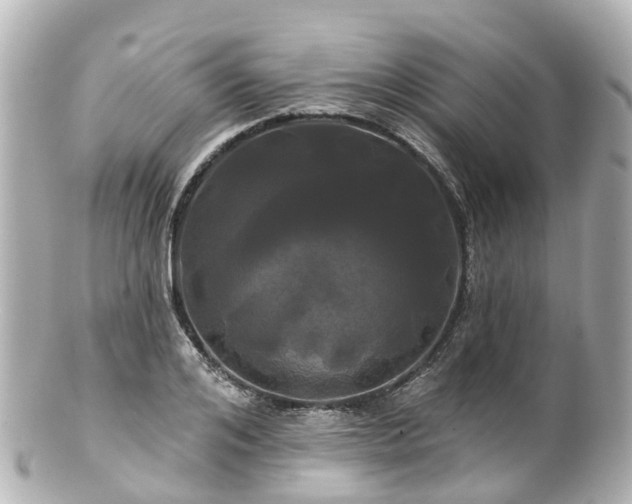 X0000100920984200807011303