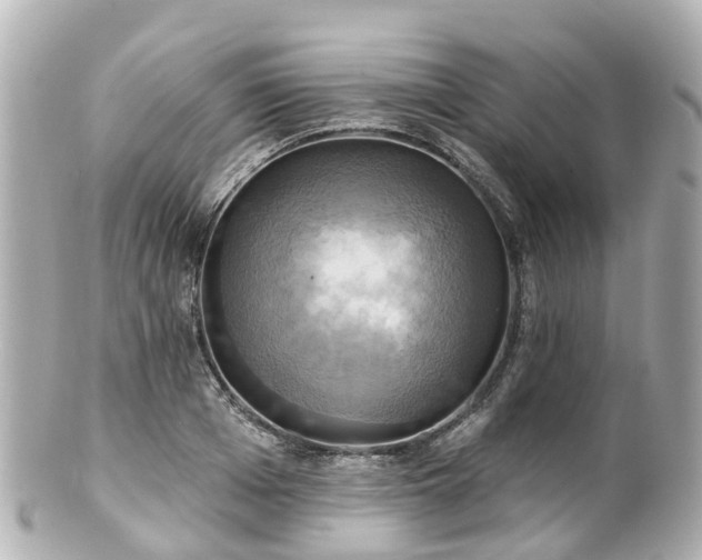 X0000100920985200807011303