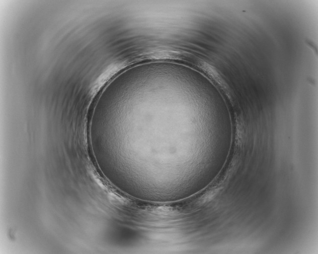 X0000100920986200807011303