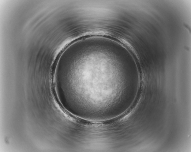 X0000100920989200807011303