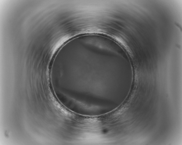 X0000100920990200807011303