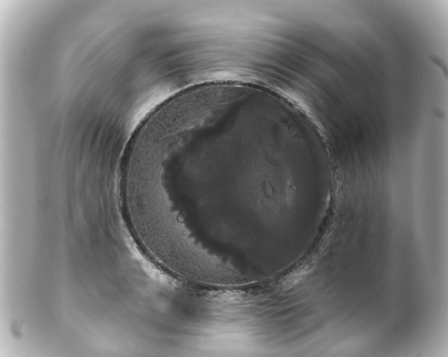 X0000100920991200807011303