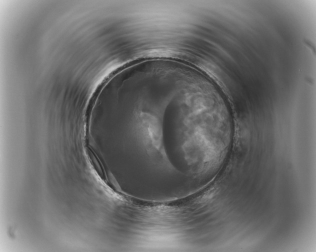 X0000100920992200807011303