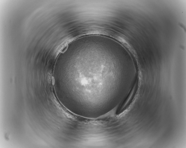 X0000100920993200807011303