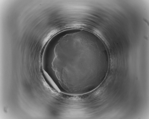 X0000100920994200807011302