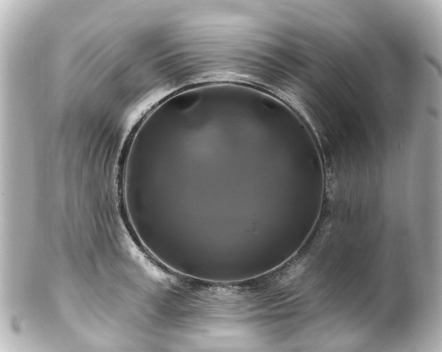 X0000100920995200807011302