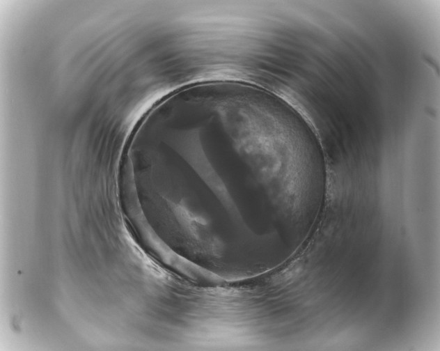 X0000100920996200807011302