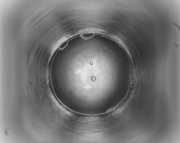 X0000100920997200807011302