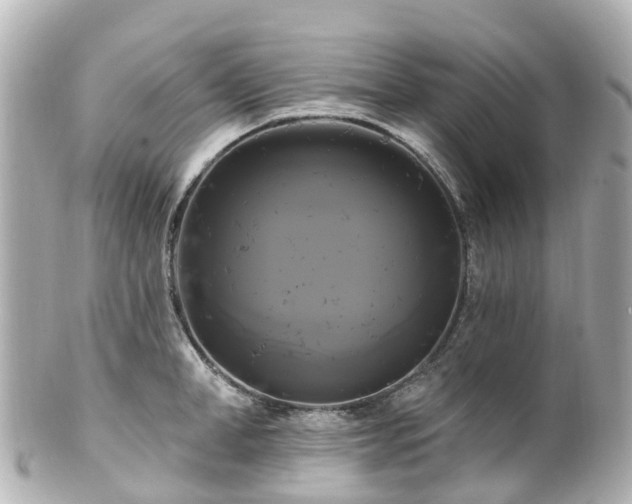 X0000100920998200807011302