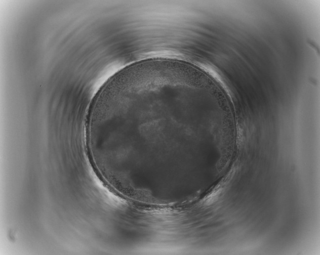 X0000100920999200807011302