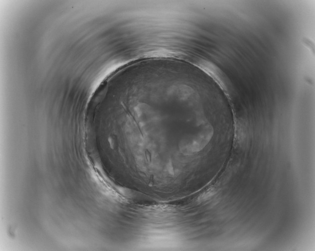 X0000100921000200807011302