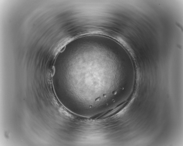 X0000100921001200807011302