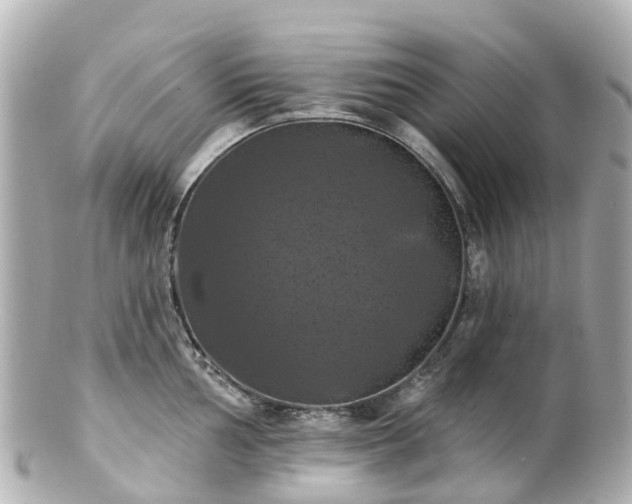 X0000100921002200807011302