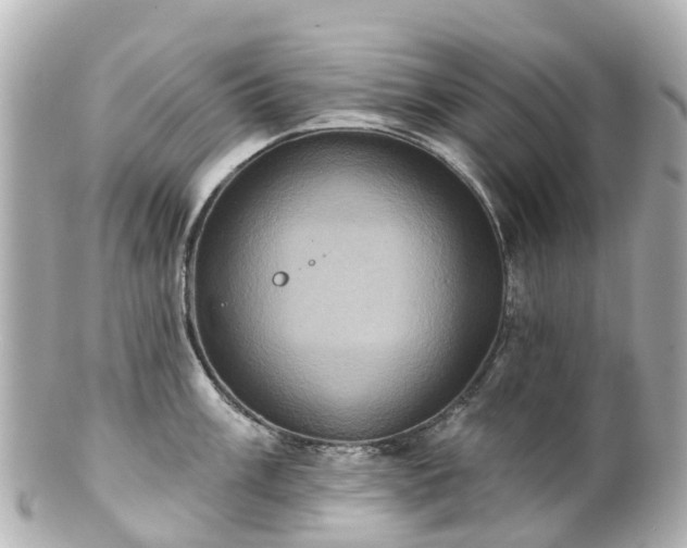 X0000100921003200807011302