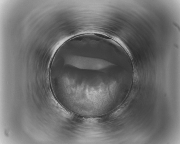 X0000100921004200807011302