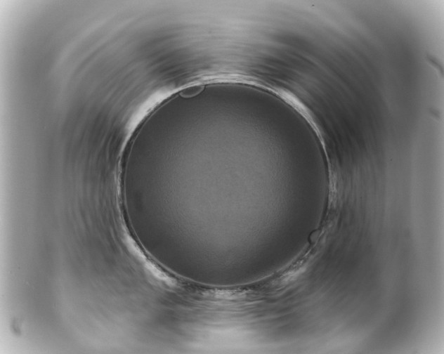 X0000100921005200807011302