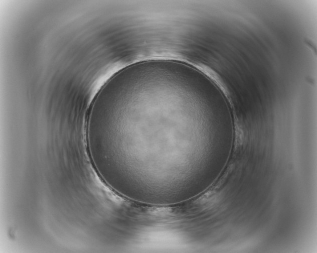 X0000100921006200807011302