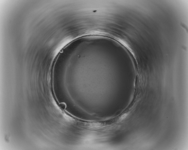 X0000100921007200807011302