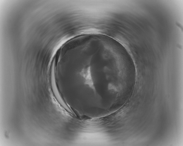 X0000100921008200807011302