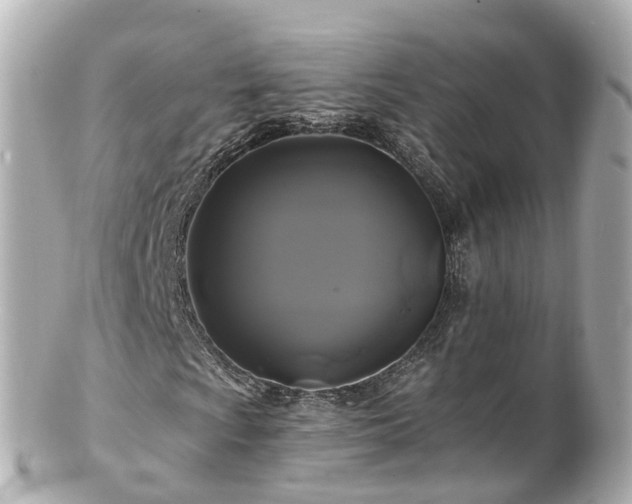 X0000100921009200807011302