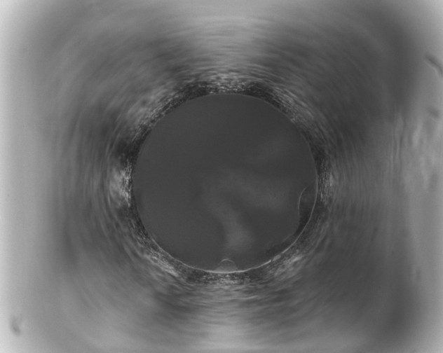 X0000100921010200807011302