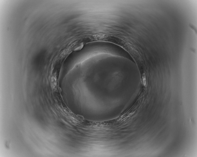 X0000100921011200807011302