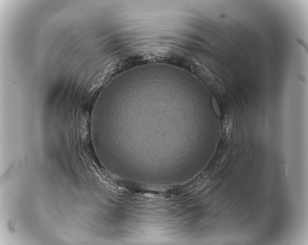 X0000100921012200807011302