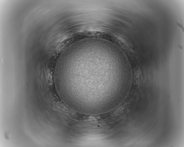 X0000100921013200807011302