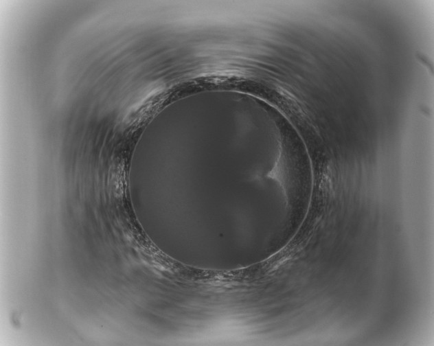 X0000100921014200807011302